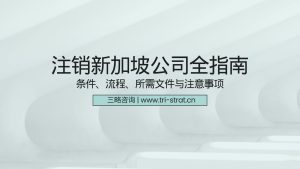 注销新加坡公司全指南