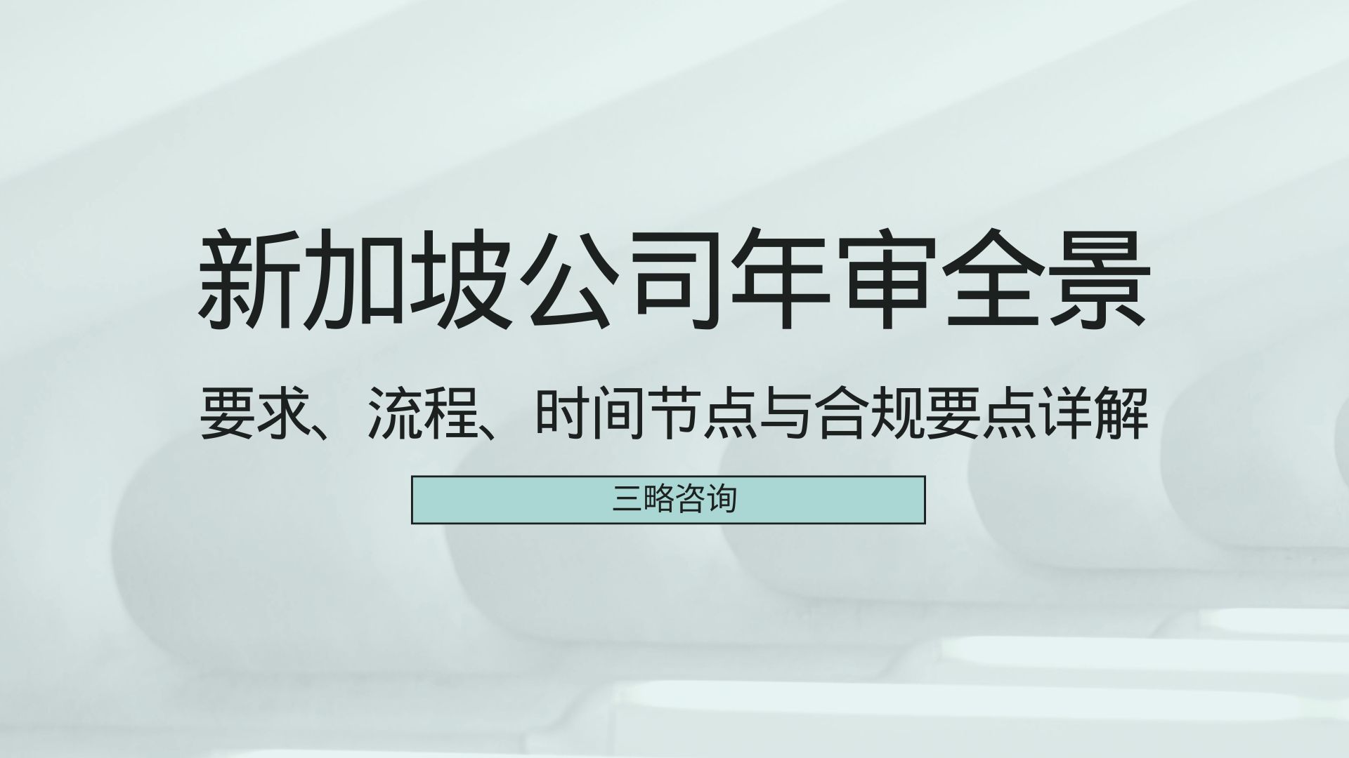 新加坡公司年审全景